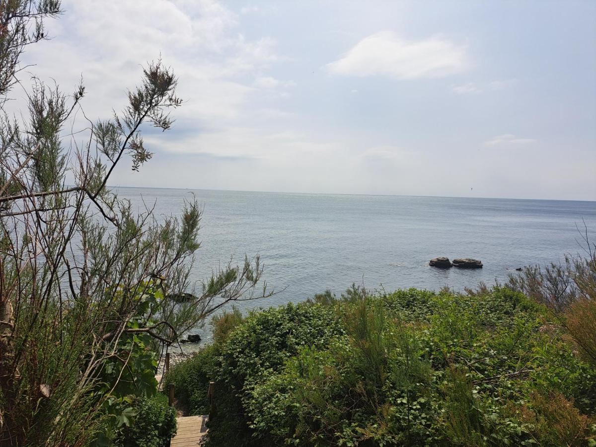 Sylvan Seas Ventnor