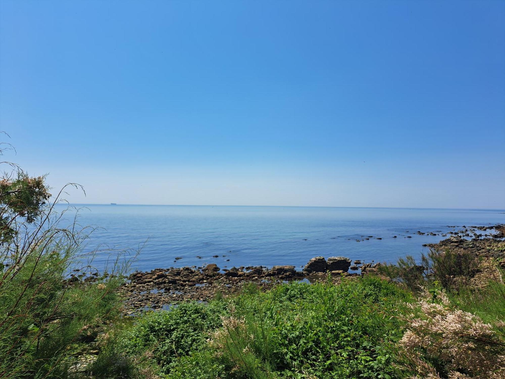 Sylvan Seas Ventnor