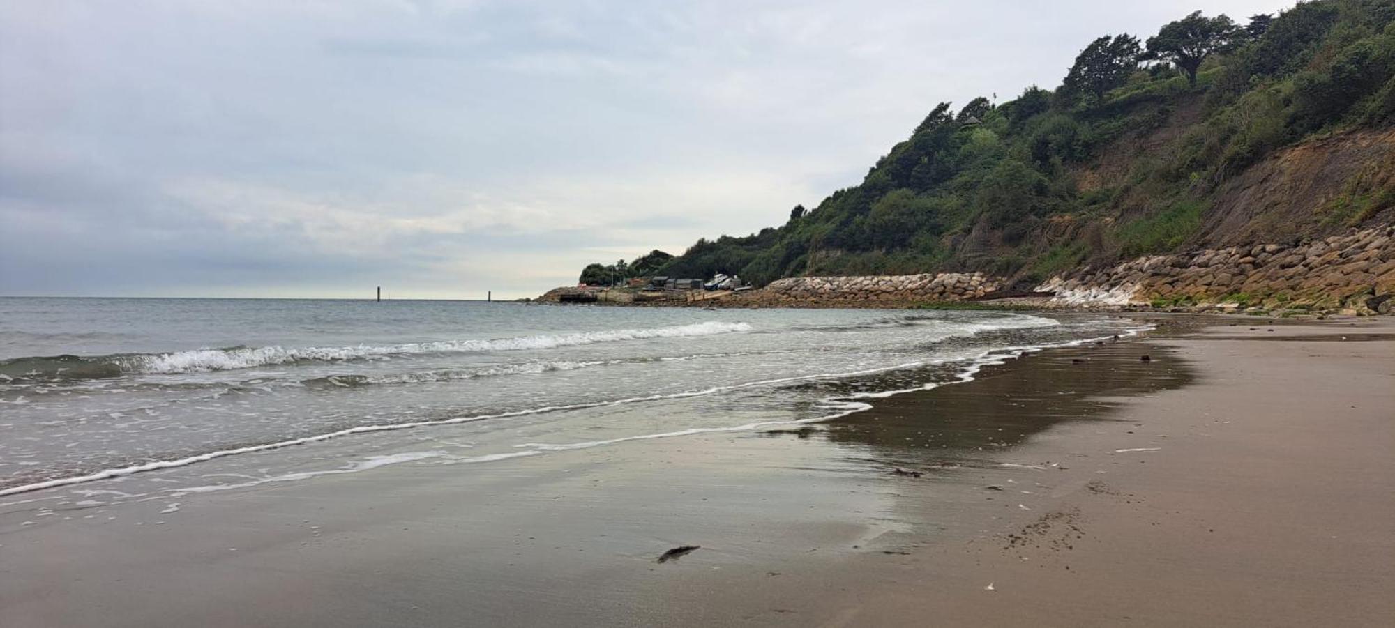 Sylvan Seas * Ventnor